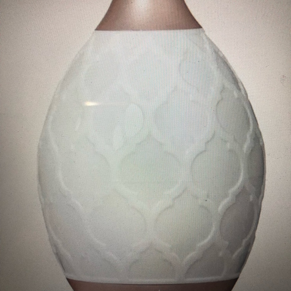 Young Living Desert Mist Essential Oil Diffuser New In Box